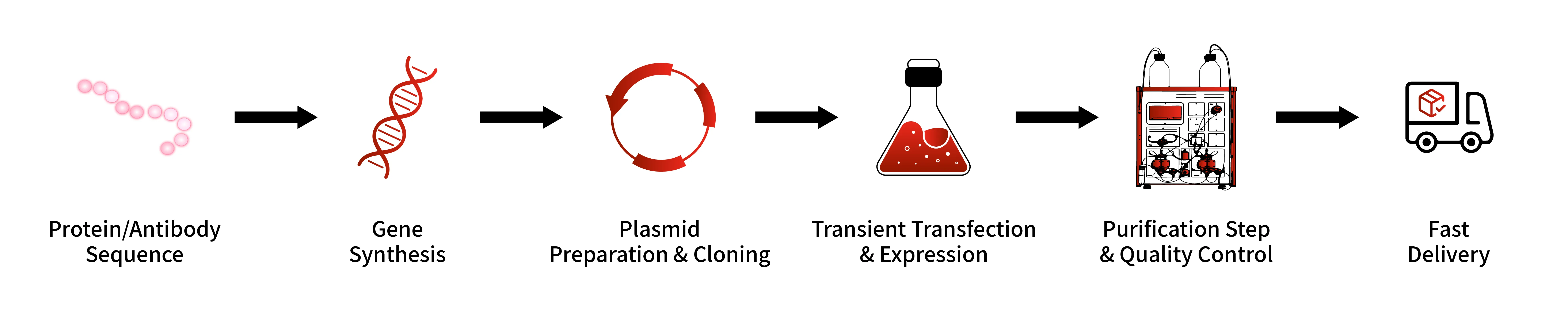 Mammalian Expression