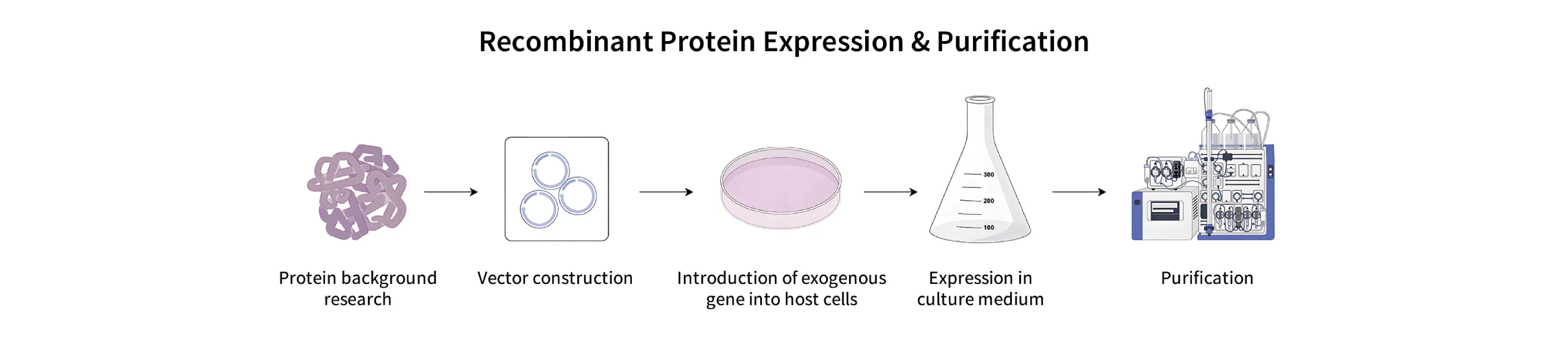 Protein Preparation