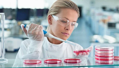 Cell Culture Media