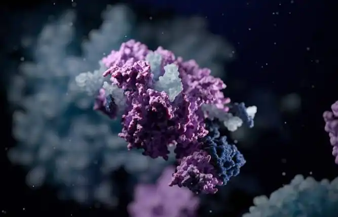 Recombinant Proteins