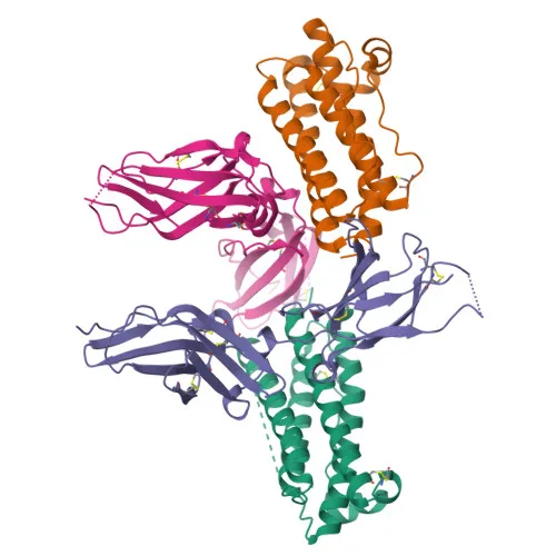 Cytokine Proteins
