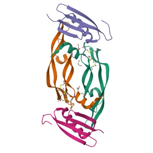 Cytokine Proteins