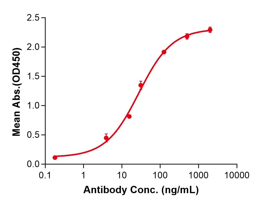 ELISA Anti-Human ERBB2/CD340/HER2 (Disitamab Biosimilar)(RUO) ABS00185
