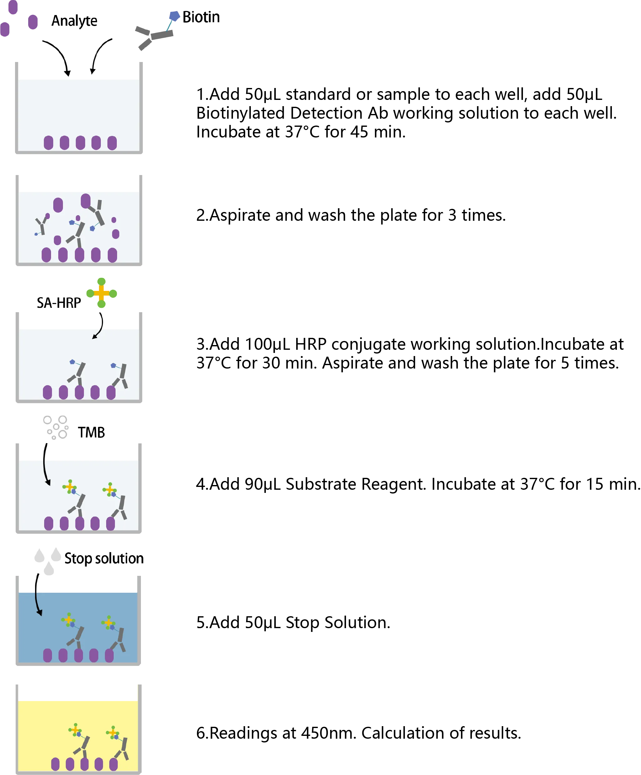 Assay Procedures-Enkilife