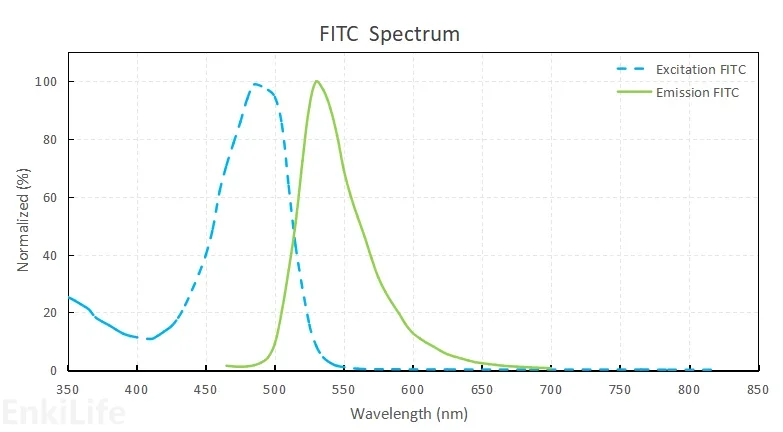 Dye Spectrum