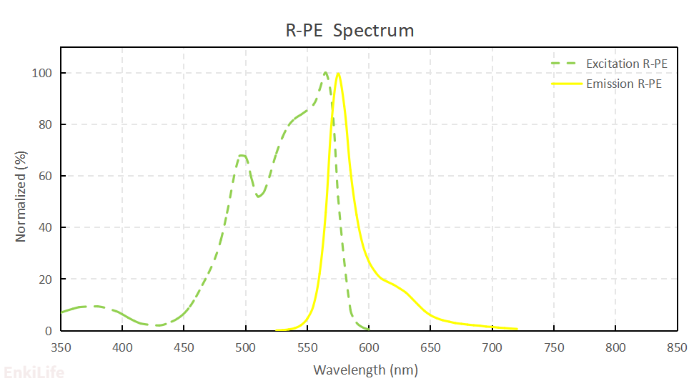 R-PE Spectrum