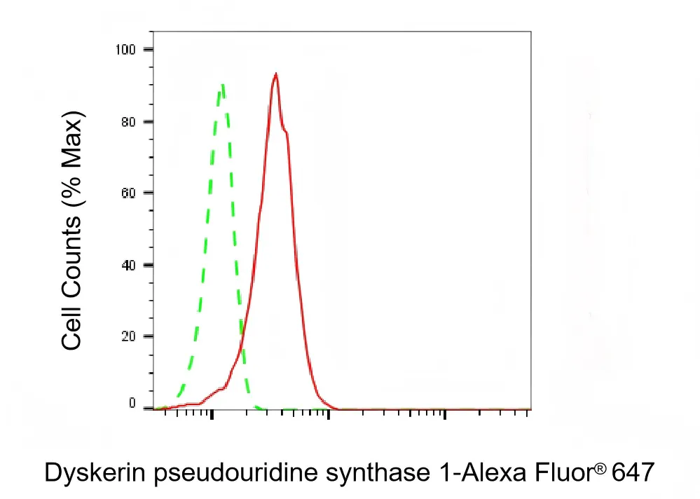 Flow cytometry - KD-Validated Dyskerin Pseudouridine Synthase 1 Recombinant Rabbit Monoclonal Antibody - KVAb00009