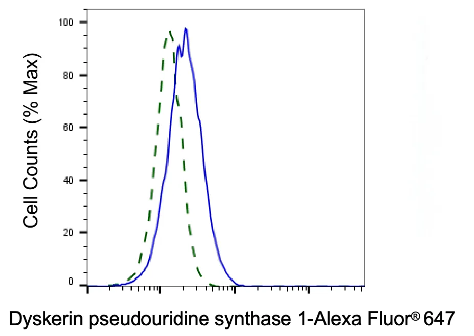 Flow cytometry - KD-Validated Dyskerin Pseudouridine Synthase 1 Recombinant Rabbit Monoclonal Antibody - KVAb00009