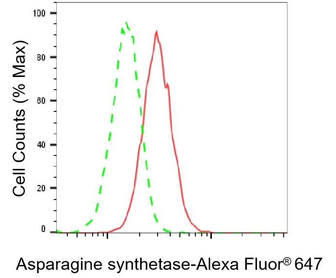 Flow cytometry - KO-Validated Asparagine Synthetase Recombinant Rabbit Monoclonal Antibody - KVAb00057
