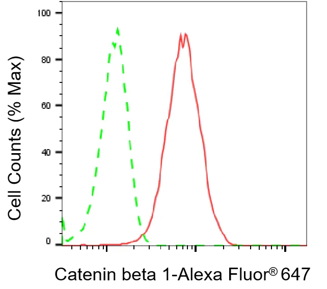 Flow cytometry - KO-Validated Catenin Beta 1 Mouse Monoclonal Antibody - KVAb00075
