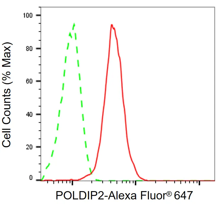 Flow cytometry - KD-Validated POLDIP2 Recombinant Rabbit Monoclonal Antibody - KVAb00330