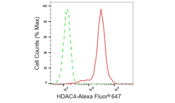 Flow cytometry - KD-Validated HDAC4 Recombinant Rabbit Monoclonal Antibody - KVAb00754