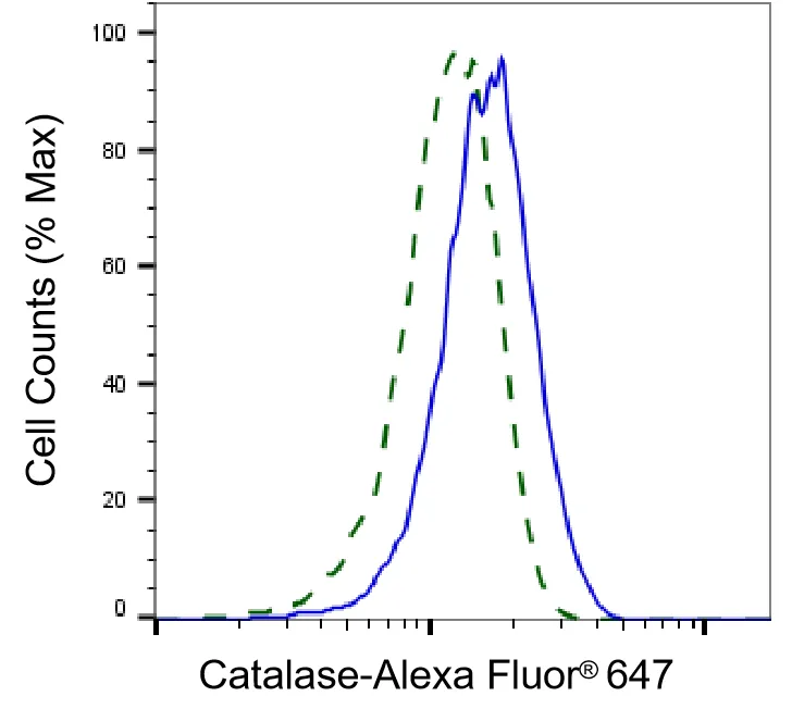 Flow cytometry - KD-Validated Catalase Recombinant Rabbit Monoclonal Antibody - KVAb00799
