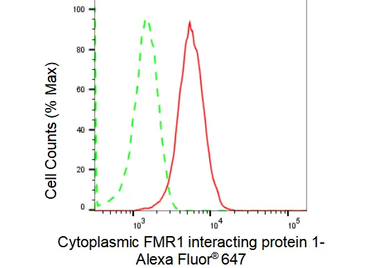 Flow cytometry - KD-Validated Cytoplasmic Fmr1 Interacting Protein 1 Recombinant Rabbit Monoclonal Antibody - KVAb01117