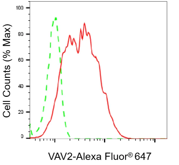 Flow cytometry - KD-Validated VAV2 Recombinant Rabbit Monoclonal Antibody - KVAb01332