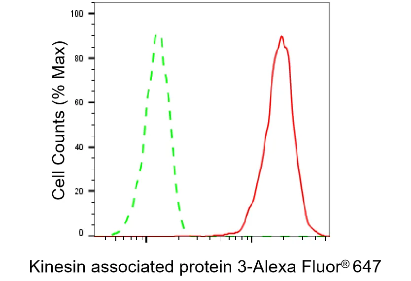 Flow cytometry - KD-Validated Kinesin Associated Protein 3 Recombinant Rabbit Monoclonal Antibody - KVAb01346