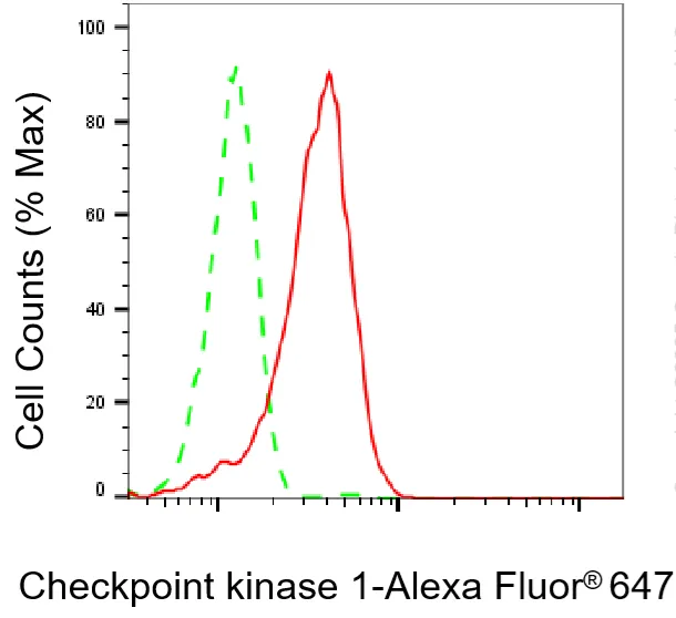 Flow cytometry - KD-Validated Checkpoint Kinase 1 Recombinant Rabbit Monoclonal Antibody - KVAb01442