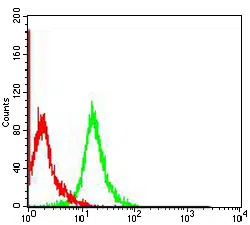 Vimentin Mouse Monoclonal Antibody