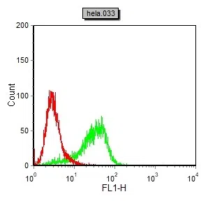 MSH6 Mouse Monoclonal Antibody - Size: 100µl