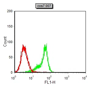 PGR Mouse Monoclonal Antibody - Size: 50µl