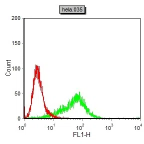PPARG Mouse Monoclonal Antibody - Size: 50µl