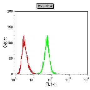 FABP4 Mouse Monoclonal Antibody - Size: 50µl