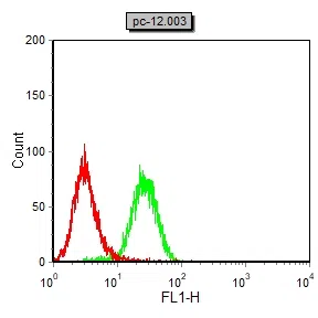 EP300 Mouse Monoclonal Antibody - Size: 50µl