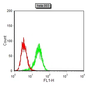 PAR1 Mouse Monoclonal Antibody - Size: 50µl