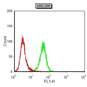 SOX2 Mouse Monoclonal Antibody - Size: 100µl