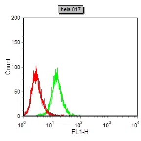 PGR Mouse Monoclonal Antibody - Size: 50µl