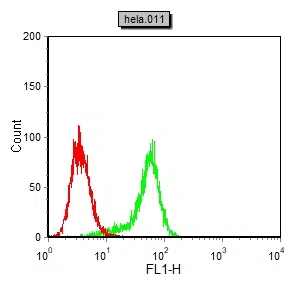 NCOA3 Mouse Monoclonal Antibody - Size: 100µl