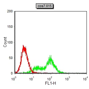 ETV1 Mouse Monoclonal Antibody - Size: 50µl