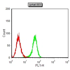Cytokeratin 19 Mouse Monoclonal Antibody - Size: 50µl
