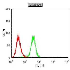 Ki67 Mouse Monoclonal Antibody - Size: 100µl