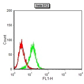 Neurogenin-3 Mouse Monoclonal Antibody - Size: 100µl