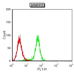 TEC Mouse Monoclonal Antibody - Size: 50µl