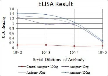 SNAI1 Mouse Monoclonal Antibody - Size: 50µl