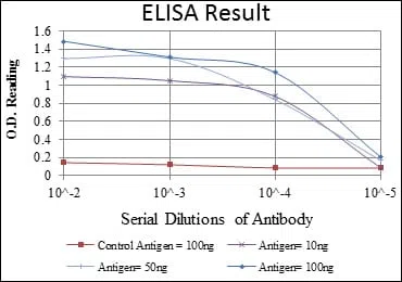 PSIP1 Mouse Monoclonal Antibody - Size: 50µl