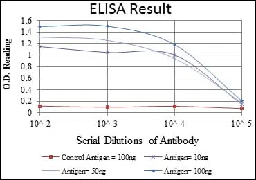 GYS1 Mouse Monoclonal Antibody - Size: 50µl