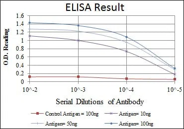 ATF2 Mouse Monoclonal Antibody - Size: 100µl