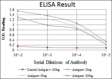 OLIG2 Mouse Monoclonal Antibody - Size: 100µl