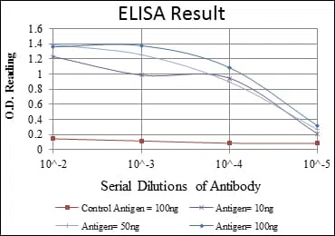 RUNX1 Mouse Monoclonal Antibody - Size: 100µl