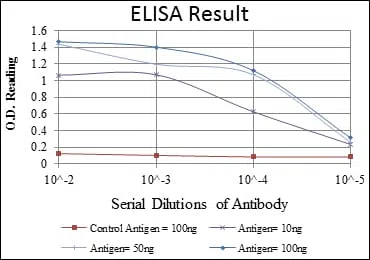 CD94 Mouse Monoclonal Antibody - Size: 100µl