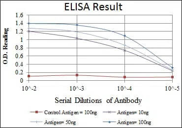 CDK1 Mouse Monoclonal Antibody - Size: 50µl