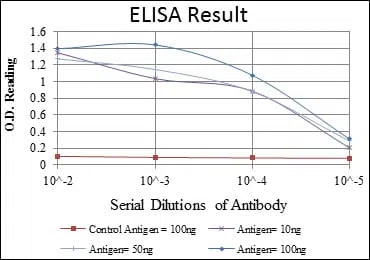 BECN1 Mouse Monoclonal Antibody - Size: 100µl