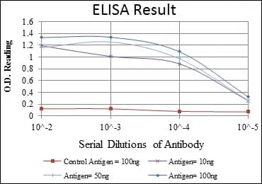 CTTN Mouse Monoclonal Antibody - Size: 100µl