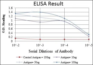 EEF2 Mouse Monoclonal Antibody - Size: 100µl