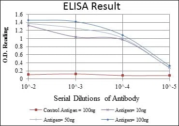 RUNX1 Mouse Monoclonal Antibody - Size: 100µl