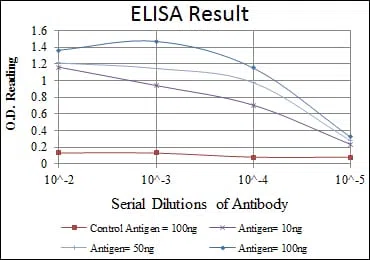 MSX1 Mouse Monoclonal Antibody - Size: 50µl