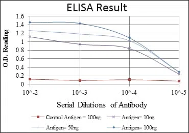 MTHFR Mouse Monoclonal Antibody - Size: 50µl